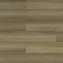 Toucan Flooring: TFSPC601-F/TFSPC602-F/TFSPC603-F/TFSPC604-F/TFSPC605-F/TFSPC606-F/TFSPC607-F/TFSPC608-F/TFSPC609-F/TFSPC610-F/TFSPC611-F/TFSPC612-F,8.0mm( 6.5+1.5 mm) / Vinyl/ WEAR LAYER 0.5MM