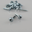 Wood Screw with