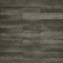 Toucan Flooring: TF2501/TF2502/TF2504, Glossy, 12mm, Laminate Flooring