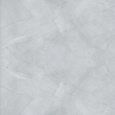 Floor Tiles: Light Gray (24" x 48") DTLG12002020 (Price: /sqf)