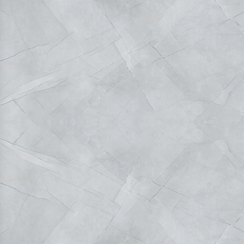 Floor Tiles: Light Gray (24" x 48") DTLG12002020 (Price: /sqf)