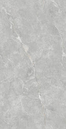 Tile: JGTB61212-W Elite Gray 1200mm x 600mm (/sqf)