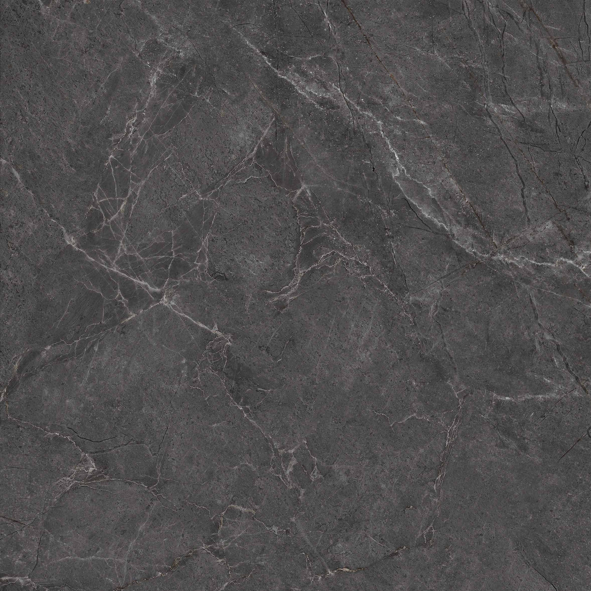 Tile: JGTC61215-W Cloudy Dark Gray 1200mm x 600mm (/sqf)