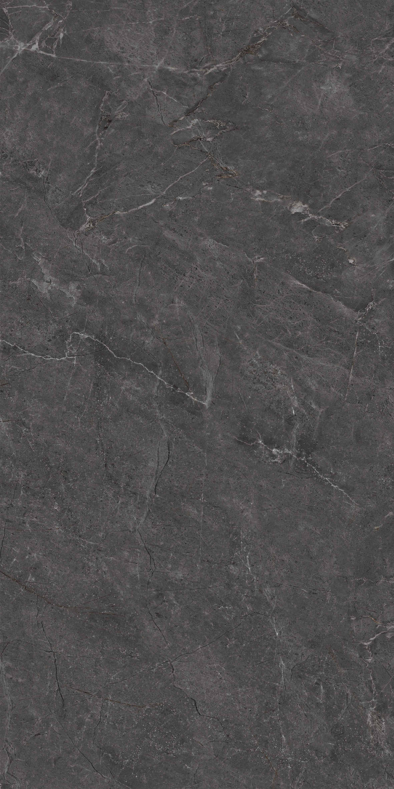 Tile: JGTC61215-W Cloudy Dark Gray 1200mm x 600mm (/sqf)