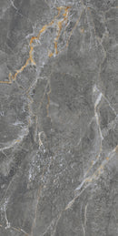Tile: JTB126209 Golden Mousse Dark Gray 1200mm x 600mm (/sqf)