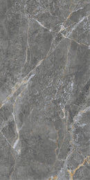 Tile: JTB126209 Golden Mousse Dark Gray 1200mm x 600mm (/sqf)