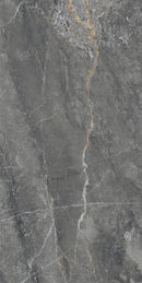 Tile: JTB126209 Golden Mousse Dark Gray 1200mm x 600mm (/sqf)