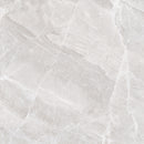 Tile: JTB8805 Glacier Light Gray 800mm x 800mm (/sqf)