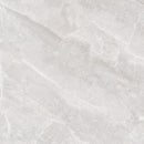 Tile: JTB8805 Glacier Light Gray 800mm x 800mm (/sqf)