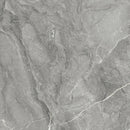 Tile: JZB8902 Collins Dark Gray 800mm x 800mm (/sqf)